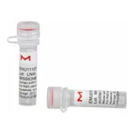Merck MISSION(R) esiRNA