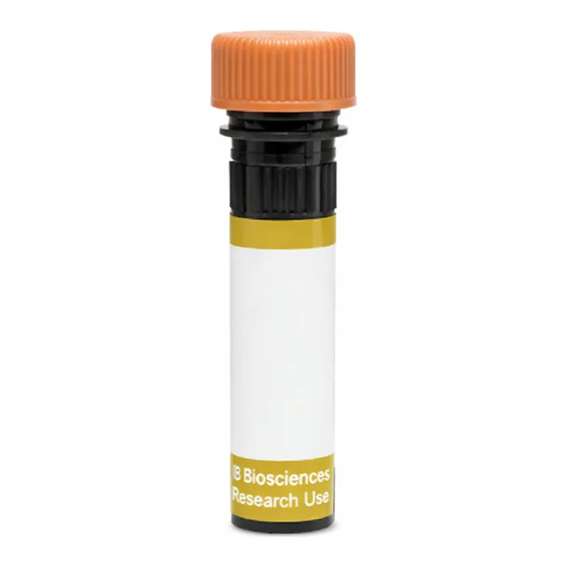 BD RY610 Rat Anti-Human Claudin-1