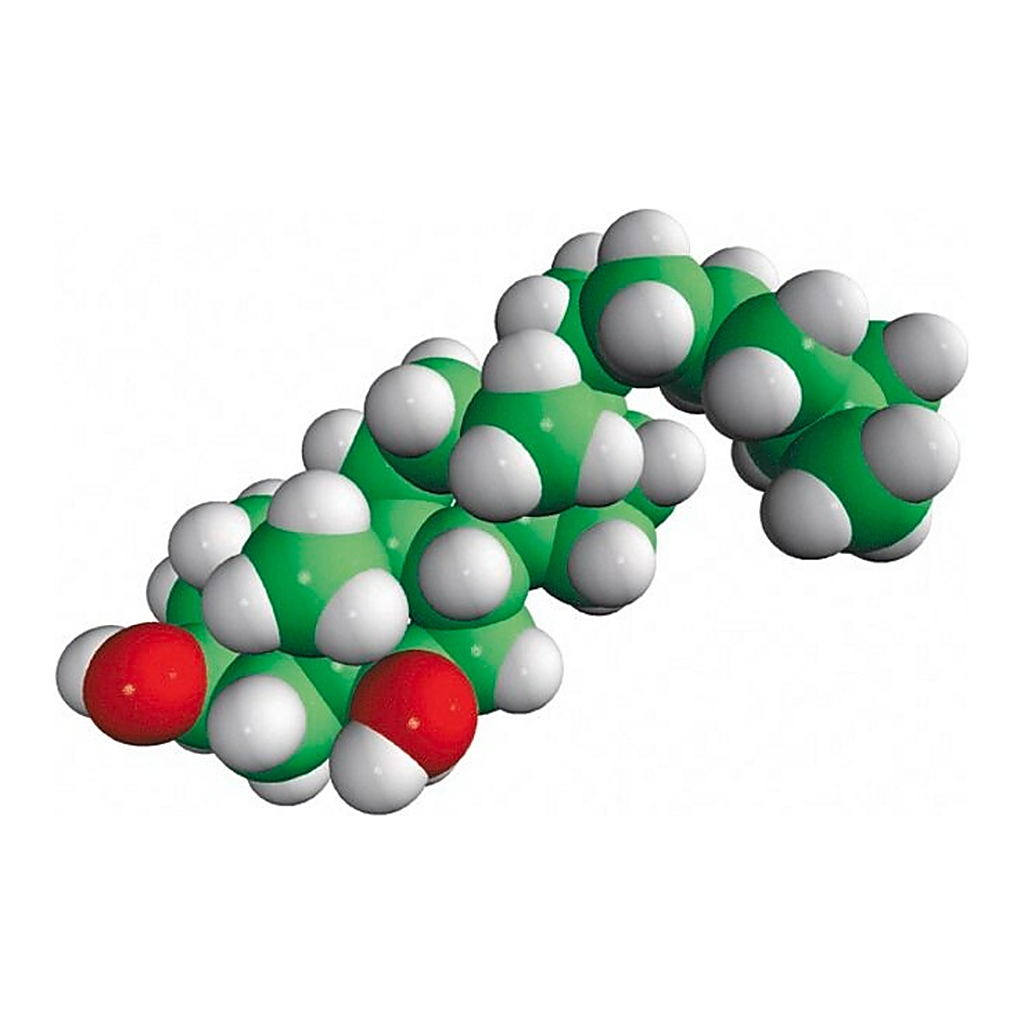Merck 5alpha,6beta-dihydroxycholestanol