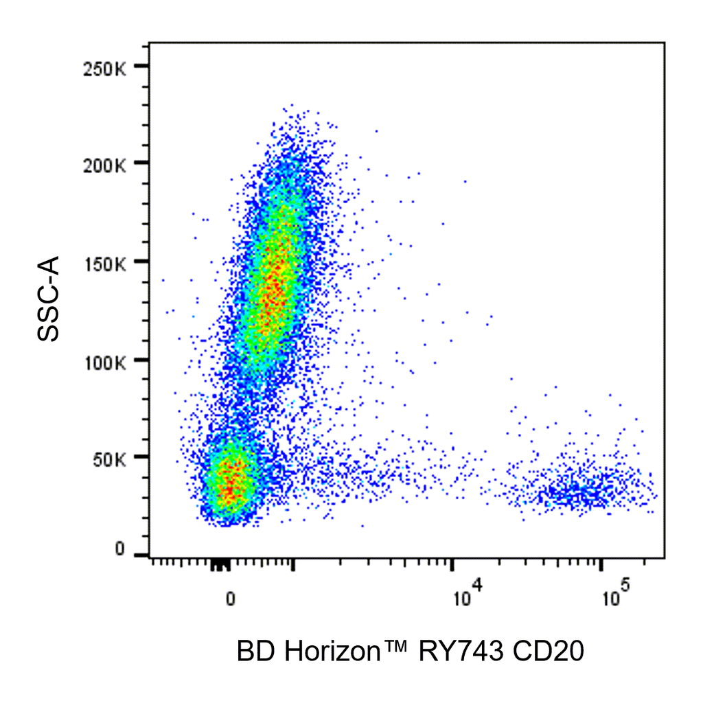 BD RY743 Mouse Anti-Human CD20