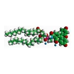 Merck 18:1 PE CF