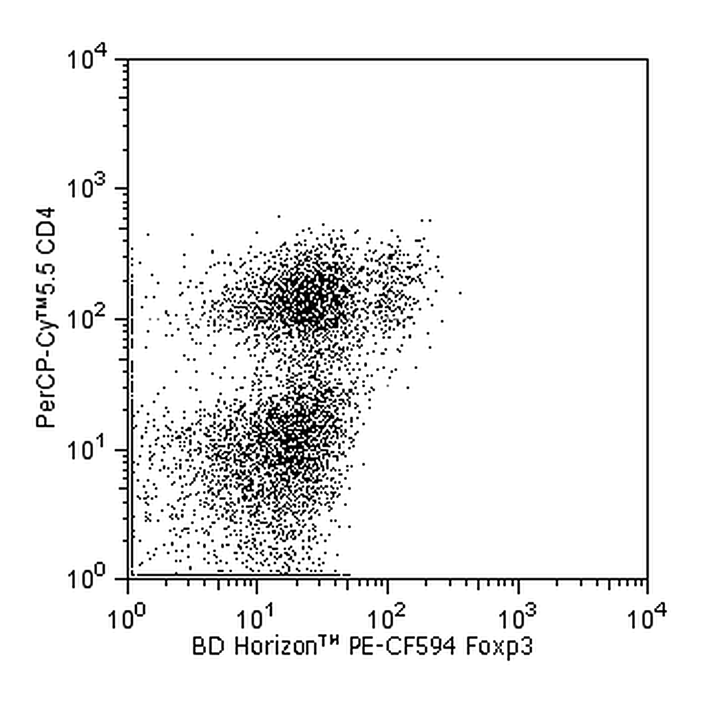 BD PE-CF594 Rat Anti-Mouse Foxp3
