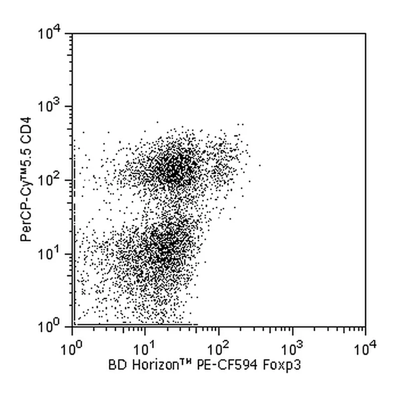 BD PE-CF594 Rat Anti-Mouse Foxp3