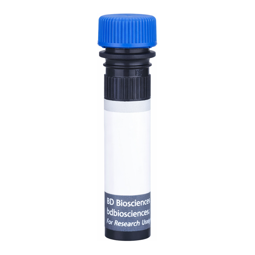 BD BUV496 Mouse Anti-Human Delta-Like Protein 4