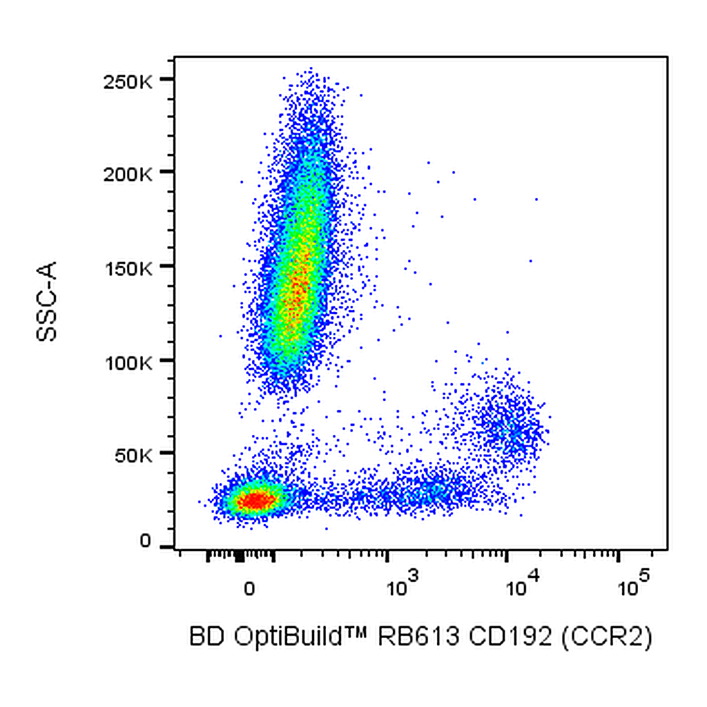 BD RB613 Mouse Anti-Human CD192 (CCR2)