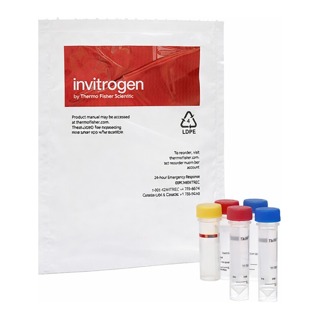 Thermo Fisher Scientific EnzChek Elastase Assay Kit
