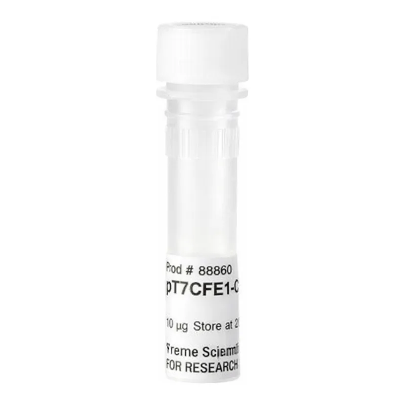 Thermo Fisher Scientific pT7CFE1-CHis Vector for Mammalian Cell-Free Protein Expression