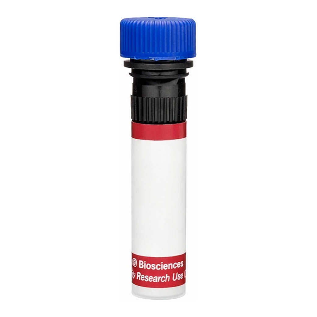 BD R718 Mouse Anti-Human Somatostatin