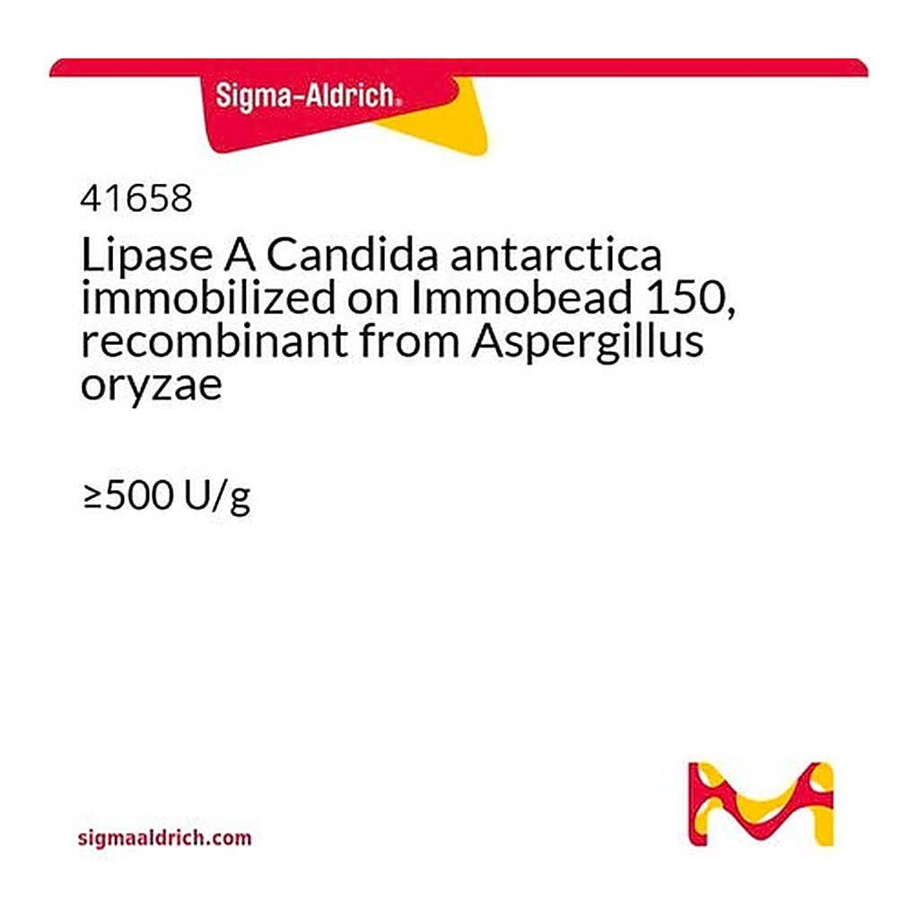 Merck Lipase A Candida antarctica immobilized on Immobead 150, recombinant from Aspergillus oryzae