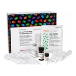 Thermo Fisher Scientific EZ-Link Sulfo-NHS-LC-Biotinylation Kit