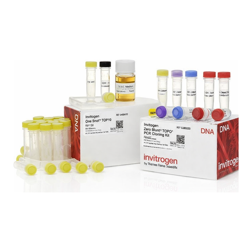 Thermo Fisher Scientific Zero Blunt TOPO PCR Cloning Kit for Sequencing, with One Shot TOP10 Electrocomp E. coli, 25 Reactions