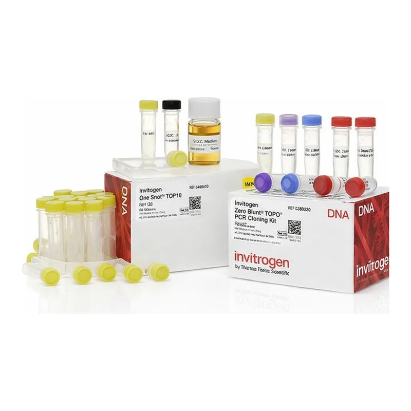 Thermo Fisher Scientific Zero Blunt TOPO PCR Cloning Kit for Sequencing, with One Shot TOP10 Electrocomp E. coli, 25 Reactions