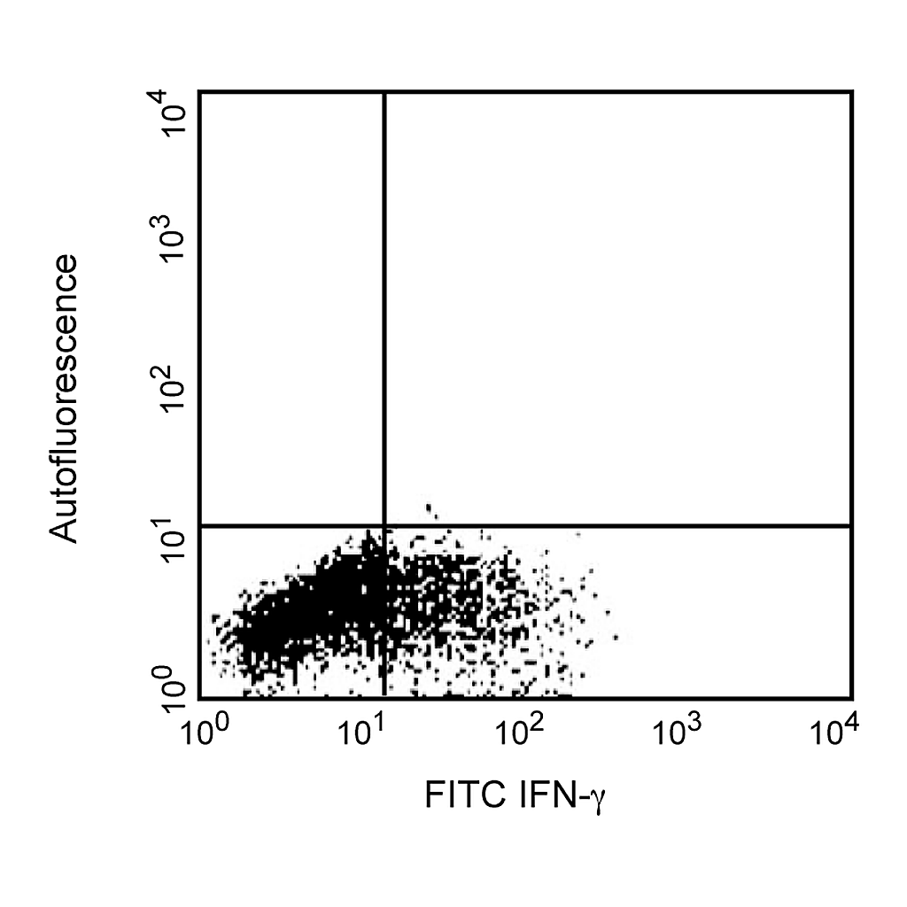 BD FITC Mouse Anti-Rat IFN-γ