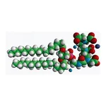 Merck 18:0 PE-DTPA (GD)