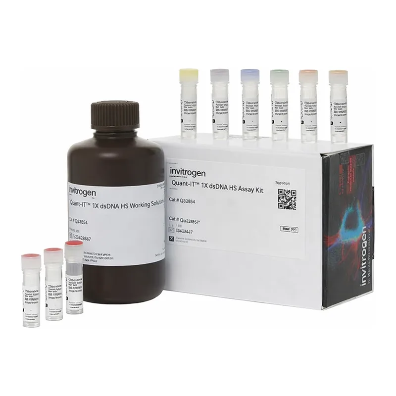 Thermo Fisher Scientific Quant-iT 1X dsDNA HS Assay, 1000 assays