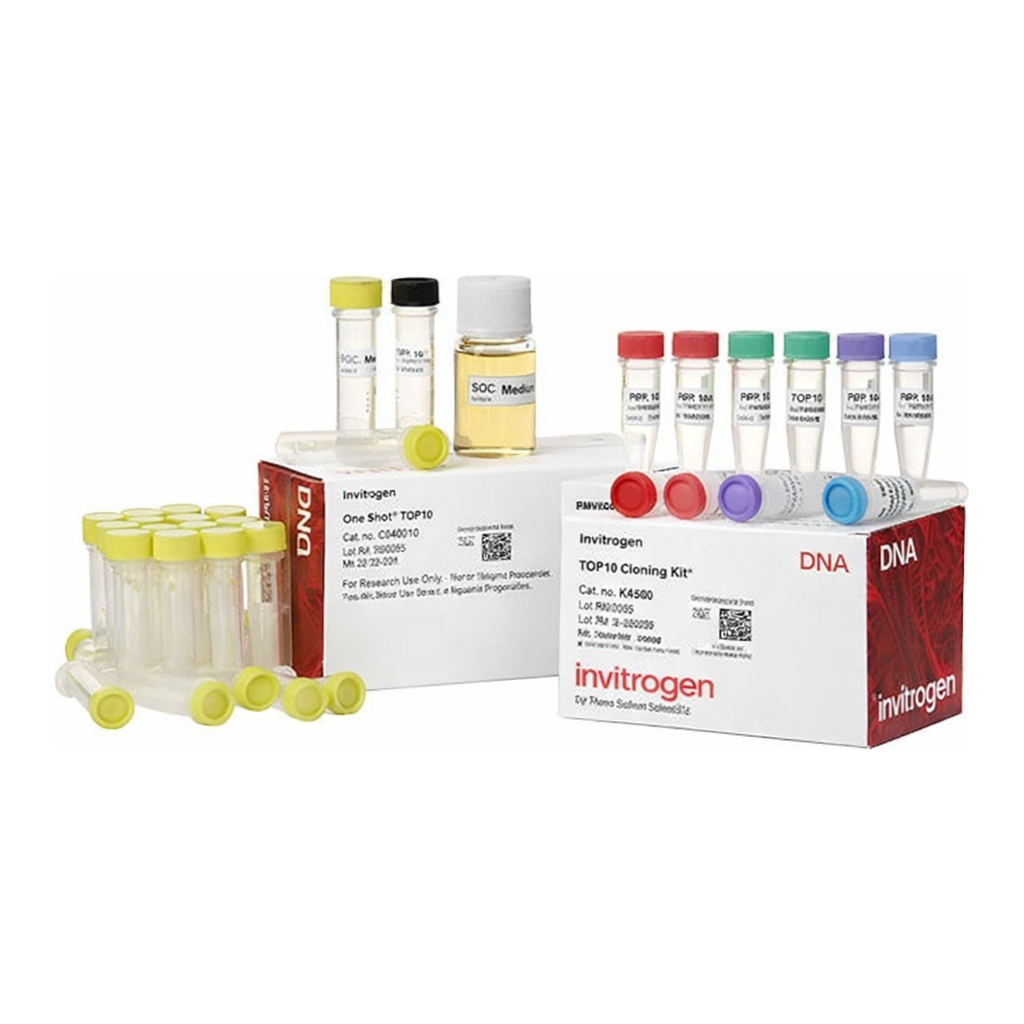 Thermo Fisher Scientific TOPO TA Cloning Kit for Sequencing, with One Shot TOP10 Electrocomp E. coli, 25 Reactions