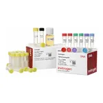 Thermo Fisher Scientific TOPO TA Cloning Kit for Sequencing, with One Shot TOP10 Electrocomp E. coli, 25 Reactions