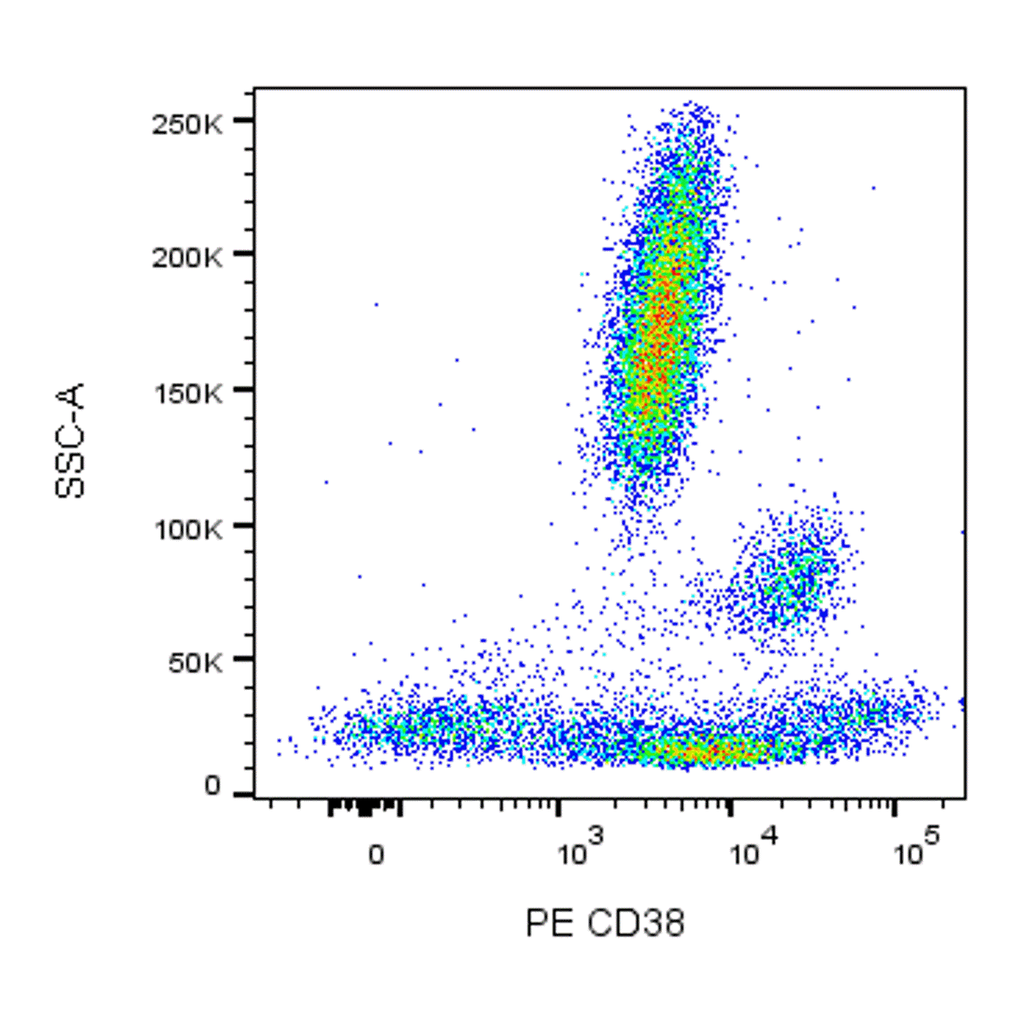 BD PE Mouse Anti-Human CD38