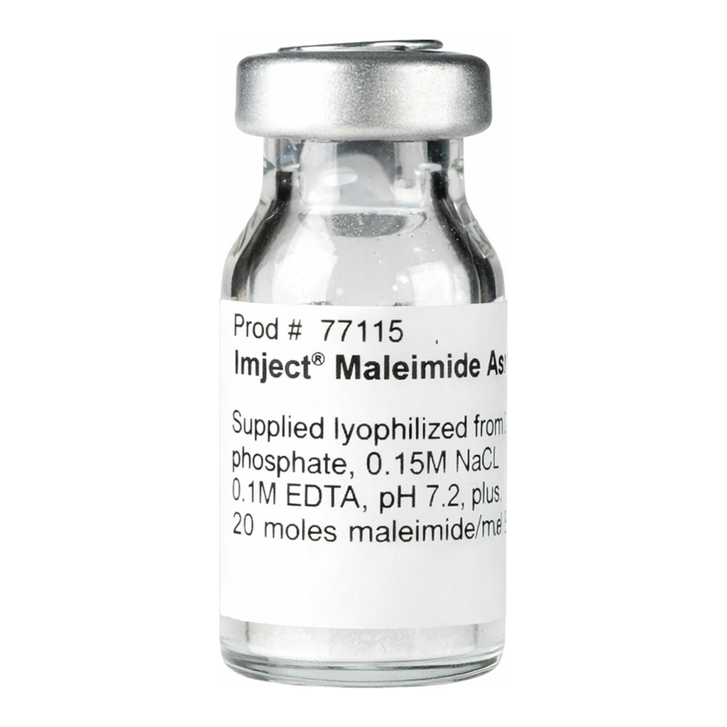 Thermo Fisher Scientific Imject Maleimide-Activated BSA, 10 mg