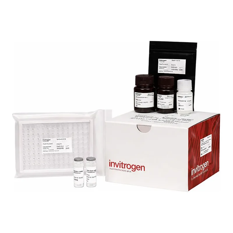Thermo Fisher Scientific Non-esterified Free Fatty Acids (NEFA/FFA) Colorimetric Assay Kit