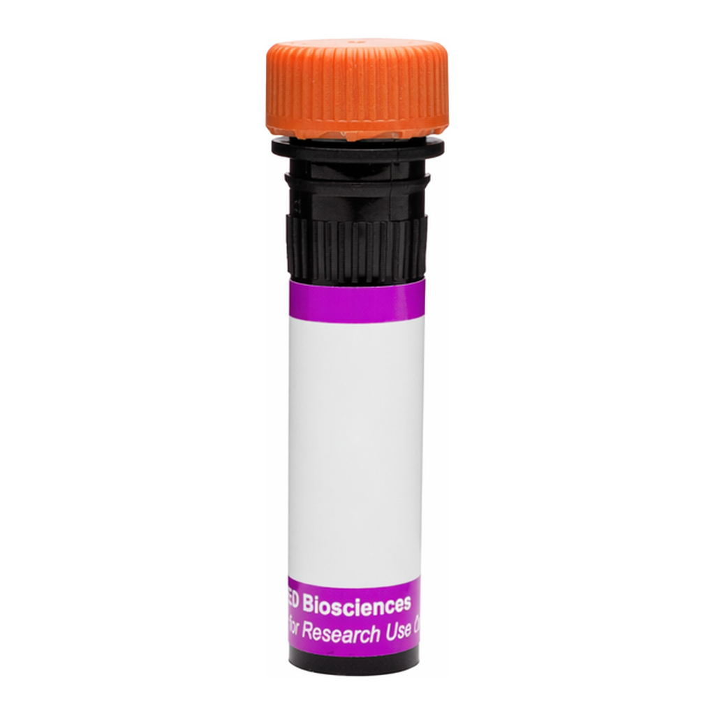 BD BV605 Mouse Anti-Human P-glycoprotein (CD243)