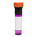 BD BV605 Mouse Anti-Human P-glycoprotein (CD243)