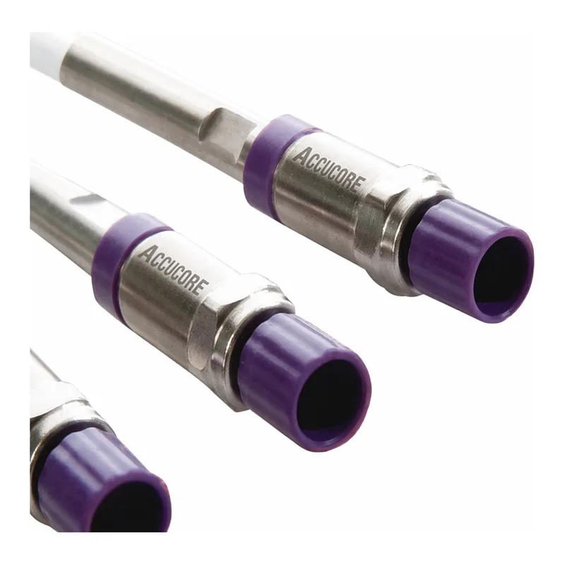Thermo Fisher Scientific Accucore C18 LC Column
