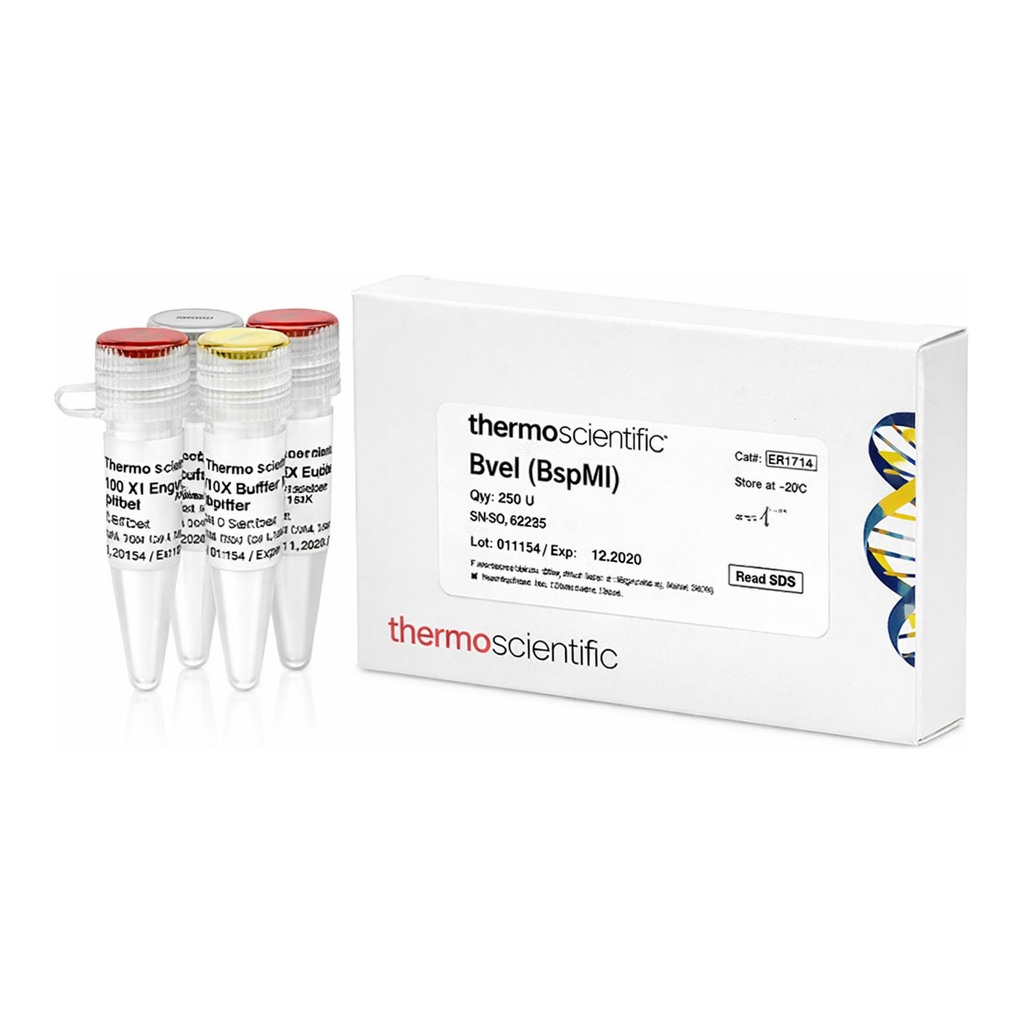 Thermo Fisher Scientific BveI (BspMI) (5 U/&mu;L)