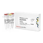 Thermo Fisher Scientific BveI (BspMI) (5 U/μL)