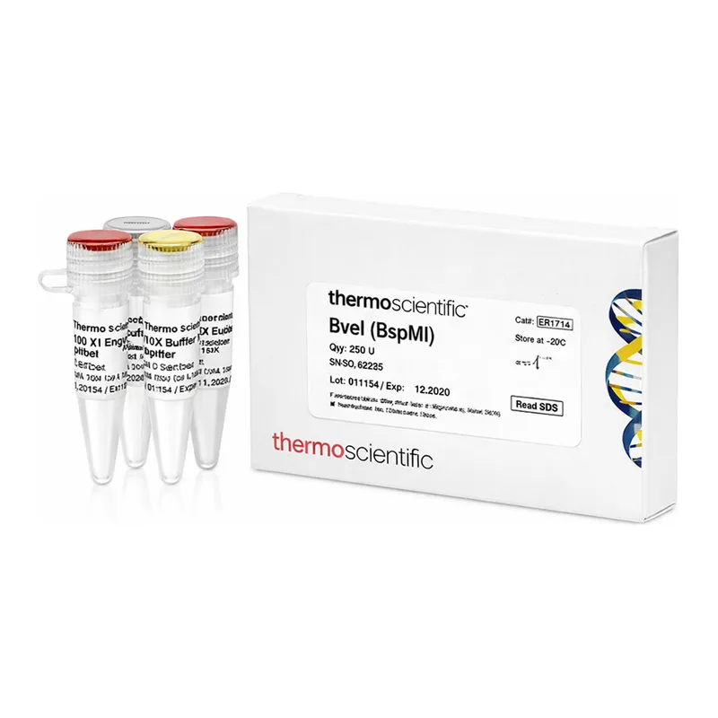 Thermo Fisher Scientific BveI (BspMI) (5 U/μL)