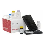Thermo Fisher Scientific ProcartaPlex Rat Basic Kit