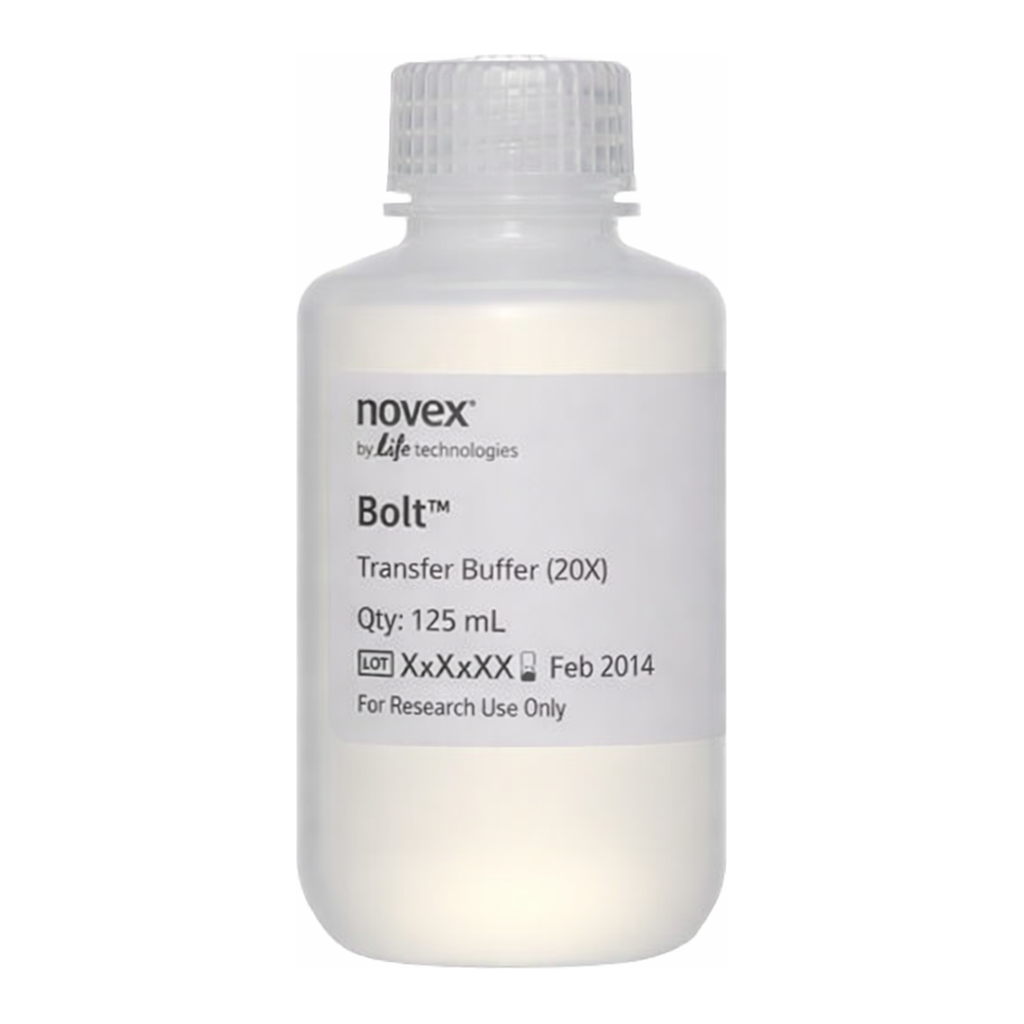 Thermo Fisher Scientific Bolt Transfer Buffer (20X), 125mL
