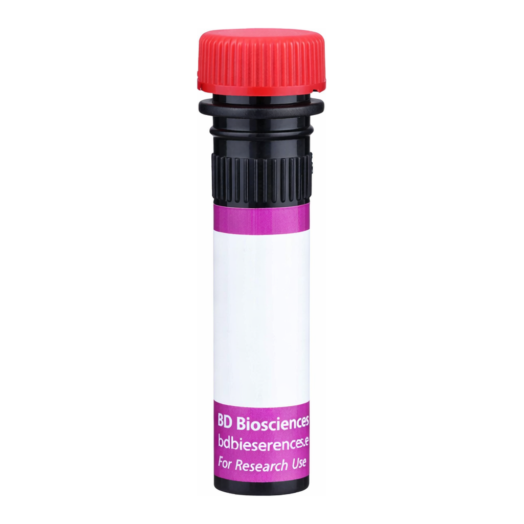 BD BV711 Mouse Anti-Rat Marginal Zone B Cells