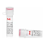 Merck MISSION(R) esiRNA