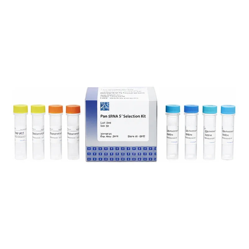 Intron Power cDNA Synthesis Kit