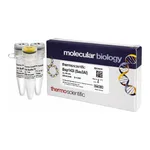Thermo Fisher Scientific Bsp143I (Sau3AI) (10 U/μL), 300 units