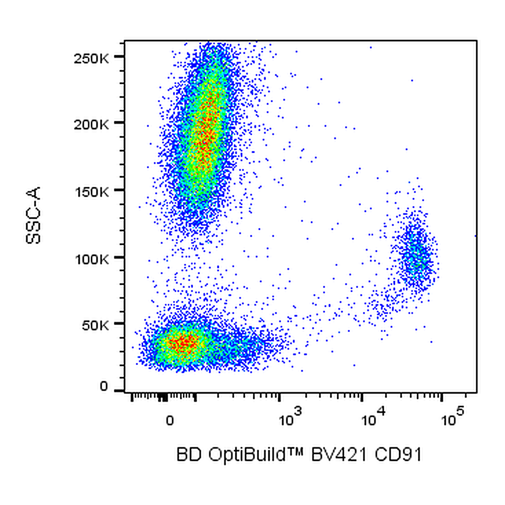 BD BV421 Mouse Anti-Human CD91