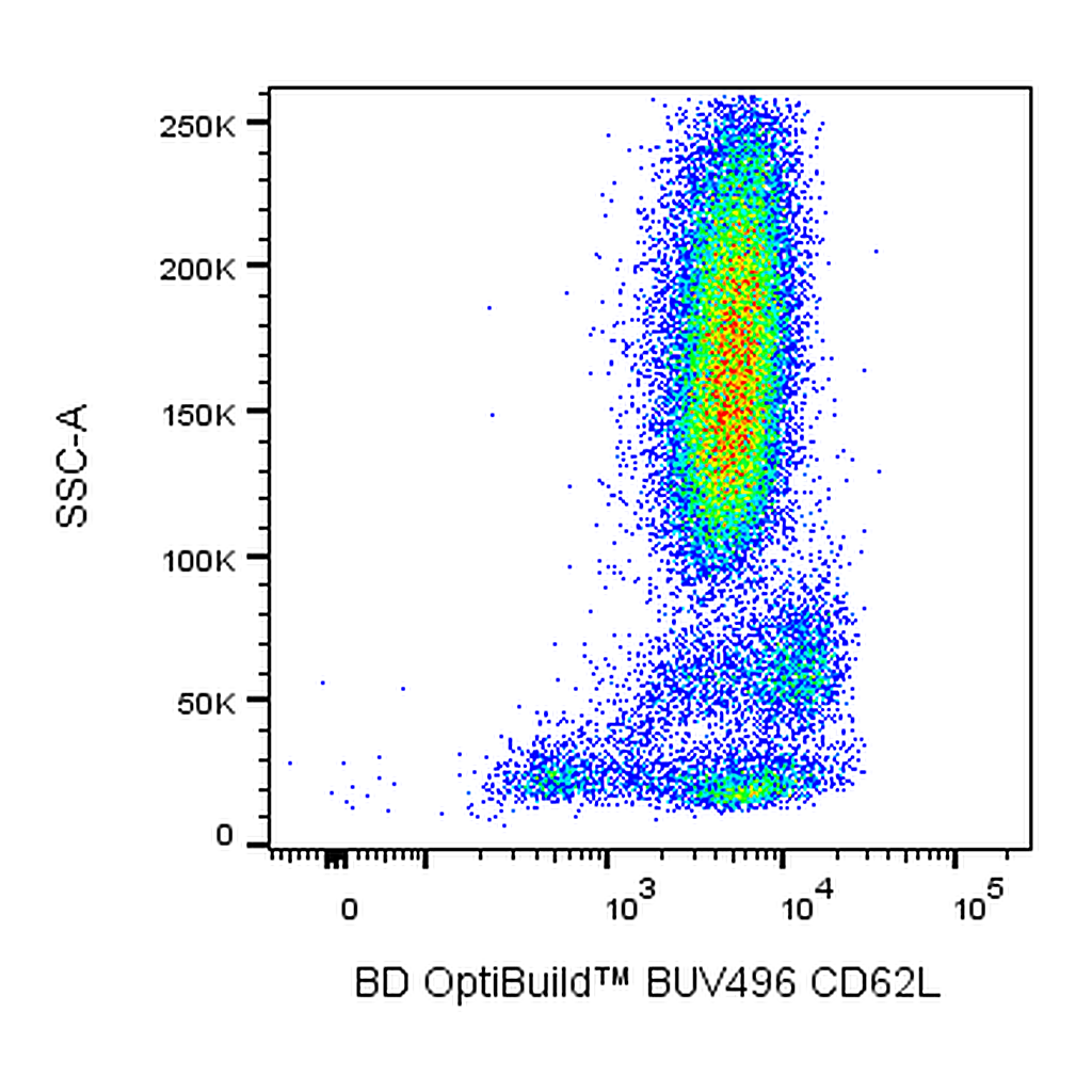 BD BUV496 Mouse Anti-Human CD62L