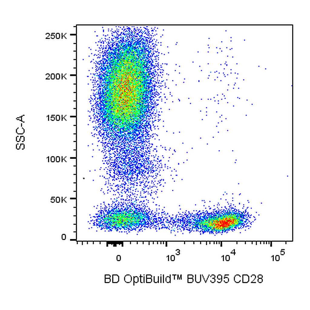 BD BUV395 Mouse Anti-Human CD28