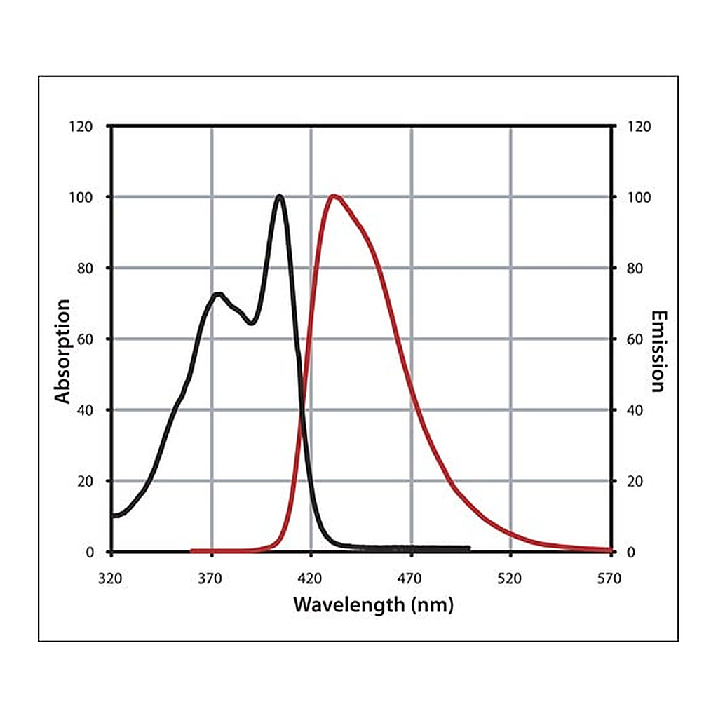 Merck Anti-Rabbit IgG (H+L), CF(TM) 405S antibody produced in goat