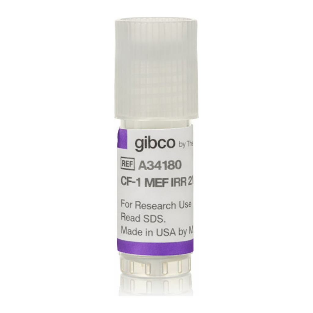 Thermo Fisher Scientific CF1 Mouse Embryonic Fibroblasts, irradiated, 2 million cells (2 x 10<sup>6</sup> cells)