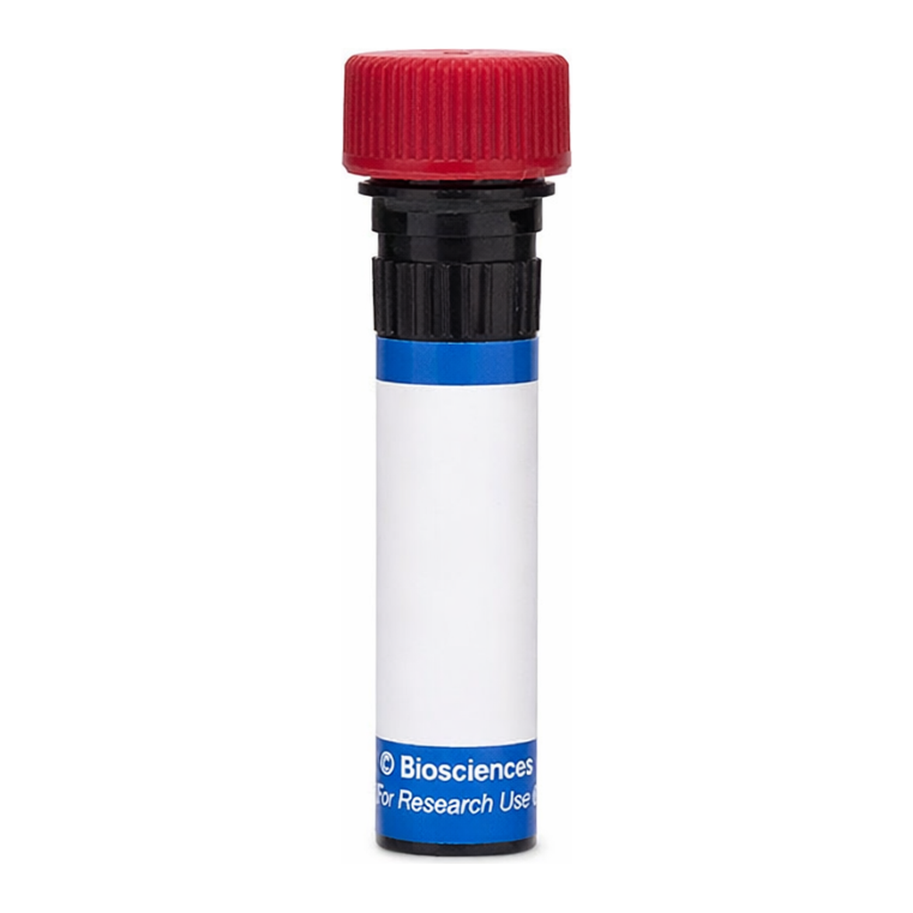 BD RB670 Rat Anti-Mouse CD122 (IL-2 Receptor β)