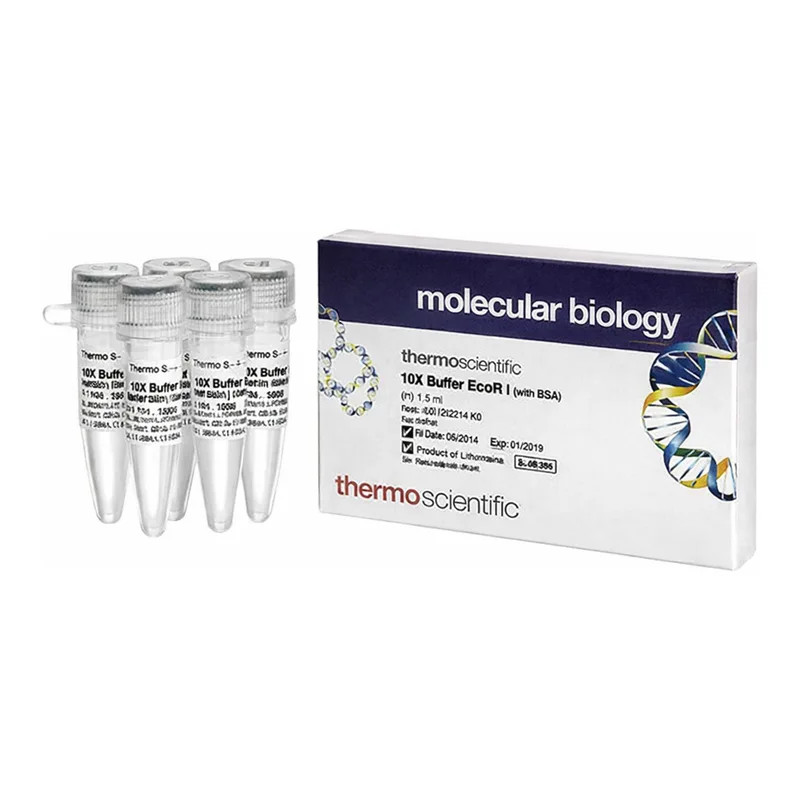Thermo Fisher Scientific EcoRI Buffer (10X)