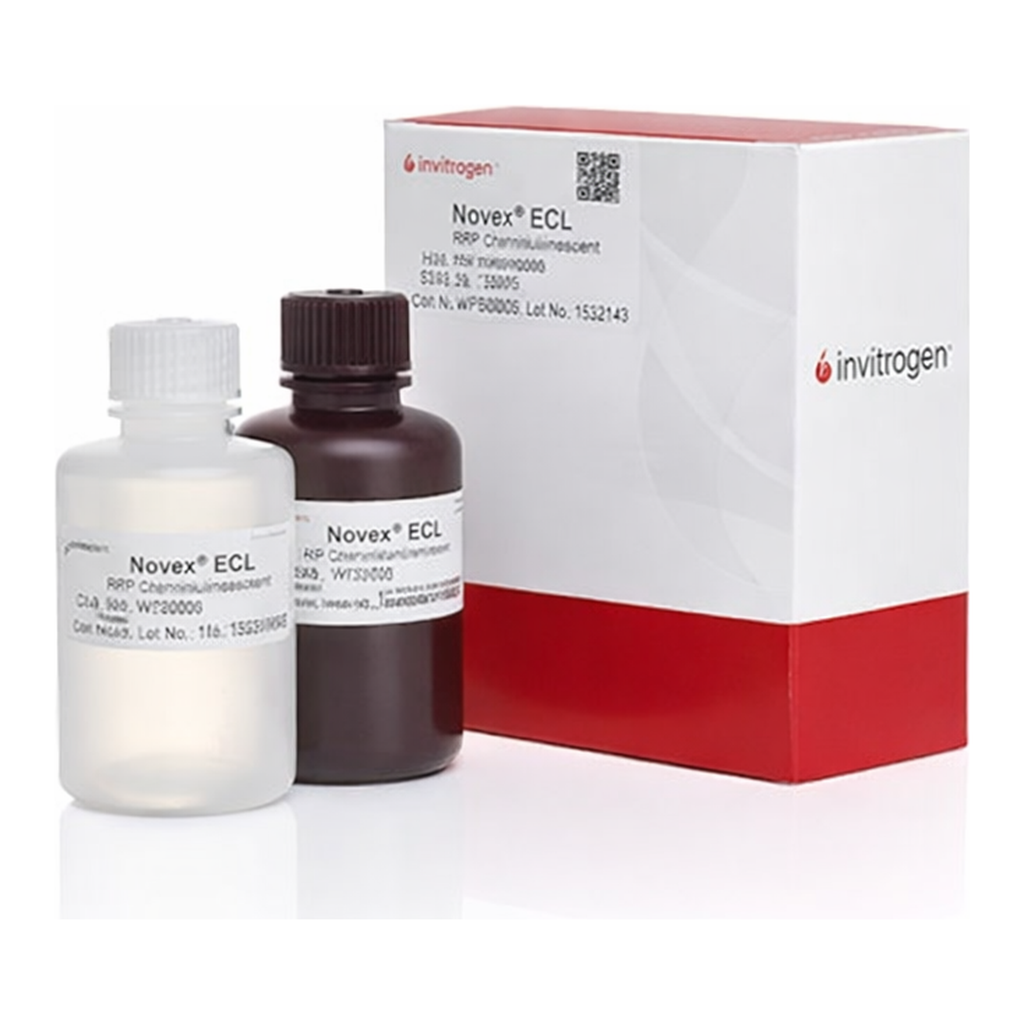 Thermo Fisher Scientific Novex ECL Chemiluminescent Substrate Reagent Kit