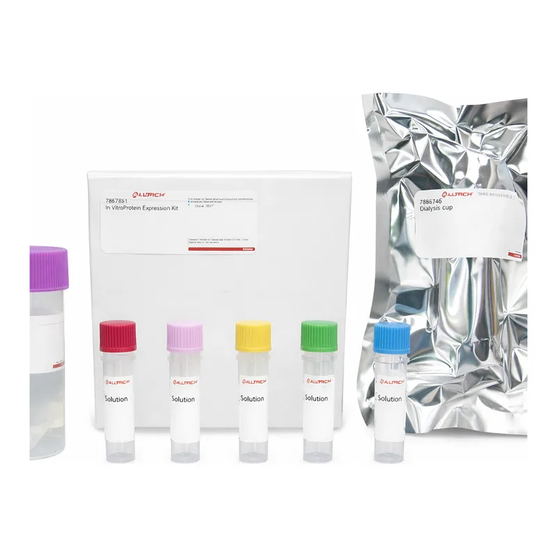 Merck In Vitro Protein Expression (iPE-SS) Kit for disulfide-containing proteins