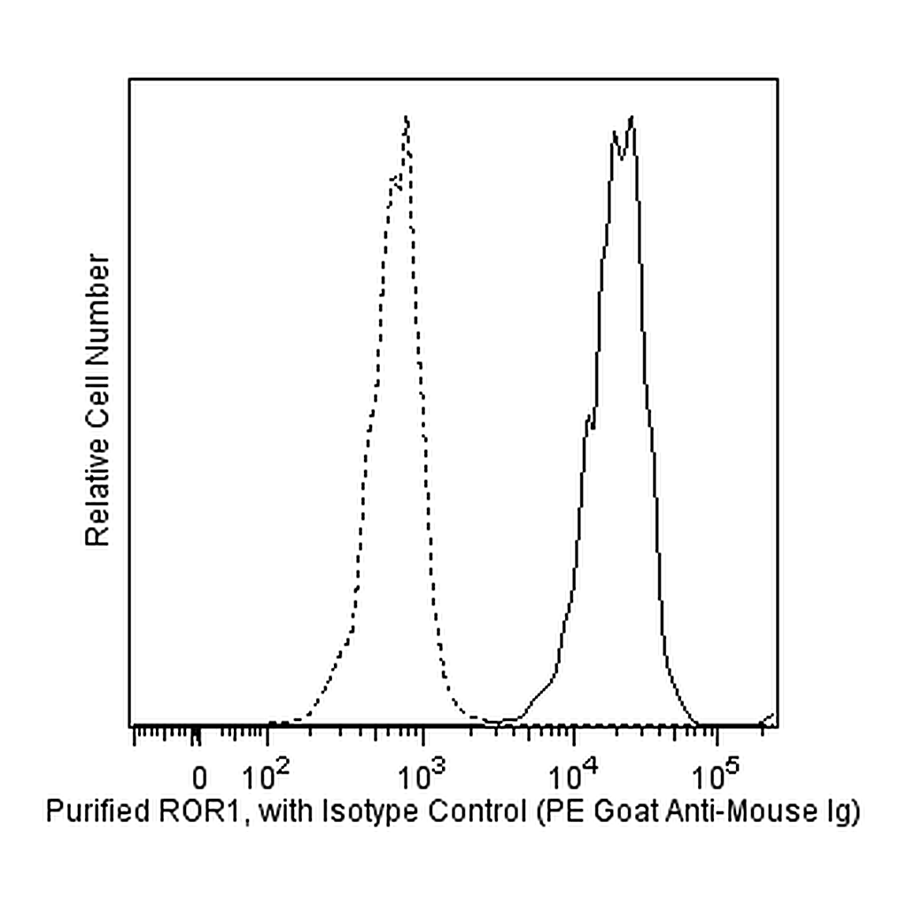 BD Purified Mouse Anti-Human ROR1