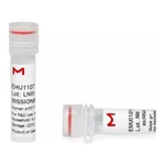 Merck MISSION(R) esiRNA