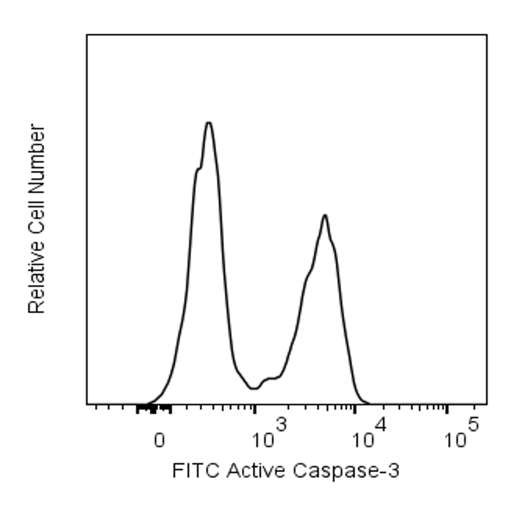 BD FITC Active Caspase-3 Apoptosis Kit