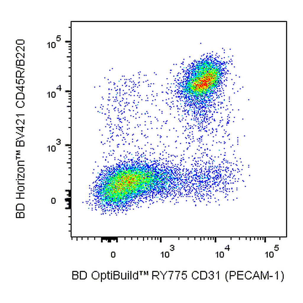 BD RY775 Rat Anti-Mouse CD31 (PECAM-1)