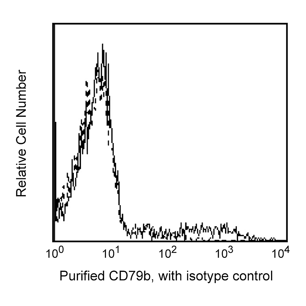 BD Purified Mouse Anti-Human CD79b